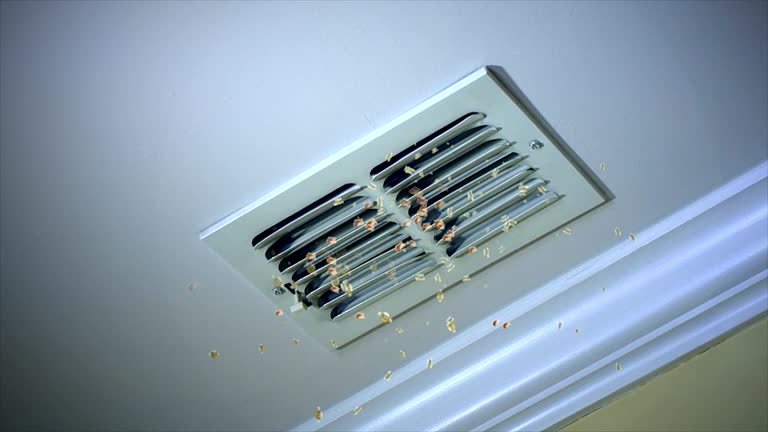 Best Home Air Vent Cleaning  in South Point, OH