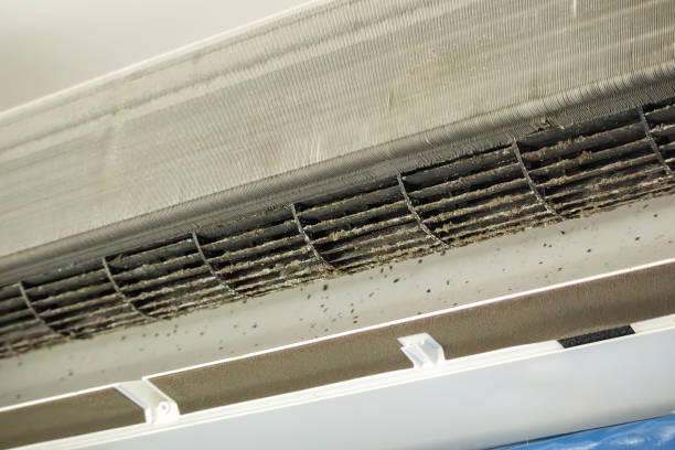 Best HVAC Duct Inspection Services  in South Point, OH